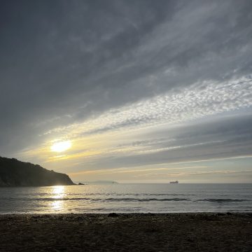 IMG_7361