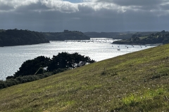 IMG_7496