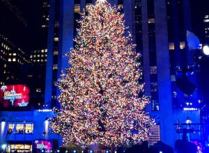   Top Christmas trees revealed