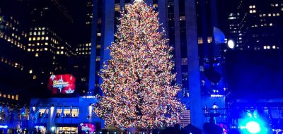 Top Christmas trees revealed