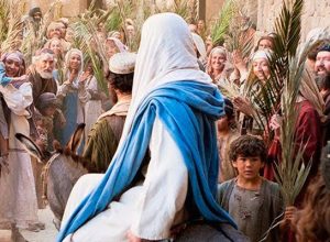   A thought for Palm Sunday