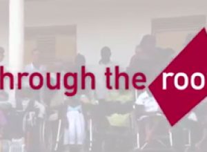   An Introduction to Through the Roof