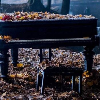 A piano in a forest with leaves on it