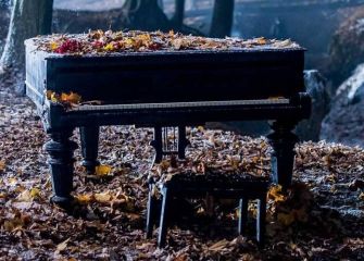A piano in a forest with leaves on it