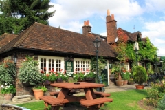Pub Garden