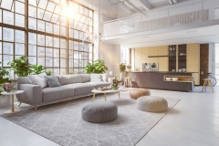 Loft apartment with living room and kitchen.