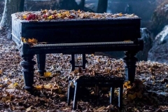 A piano in a forest with leaves on it