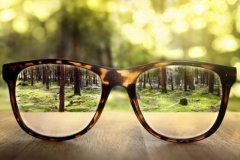 A pair of glassed with a forest in the distant background